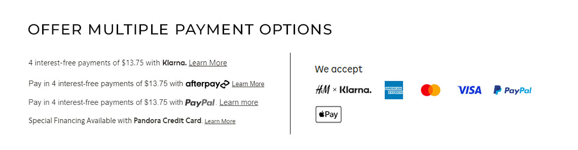 Offer multiple payment options